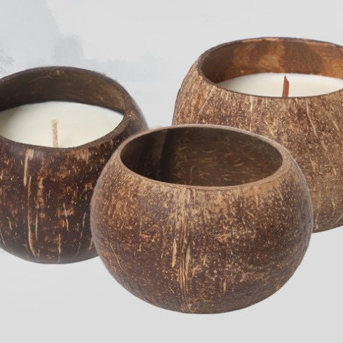 Emberwood Coconut Accent Bowl