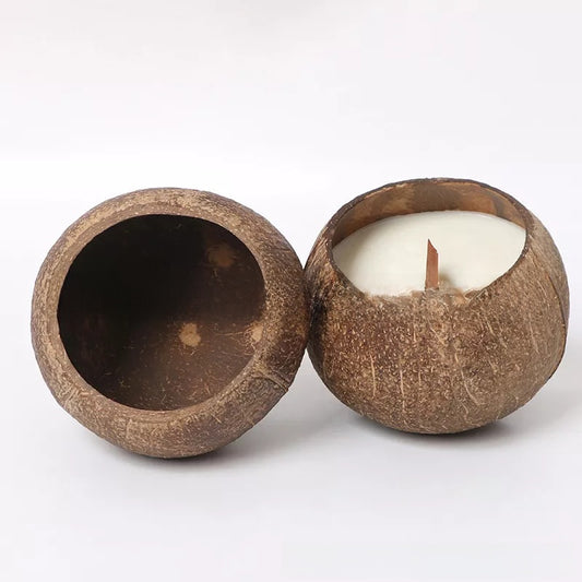 Coconut Shell Aromatherapy Candle Holder